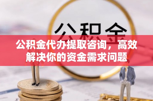 博罗公积金代办提取咨询，高效解决你的资金需求问题