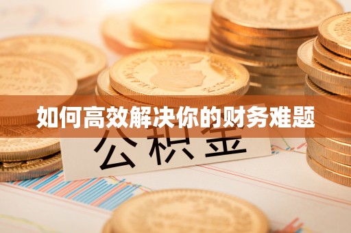博罗如何高效解决你的财务难题