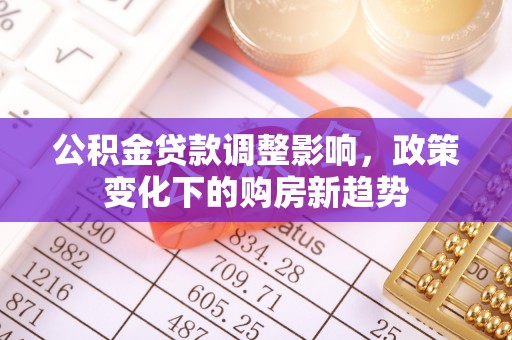 博罗公积金贷款调整影响，政策变化下的购房新趋势
