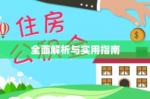 博罗全面解析与实用指南