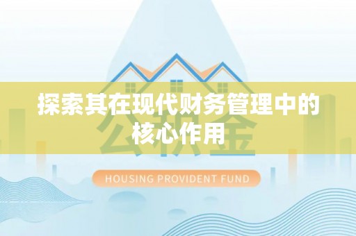博罗探索其在现代财务管理中的核心作用