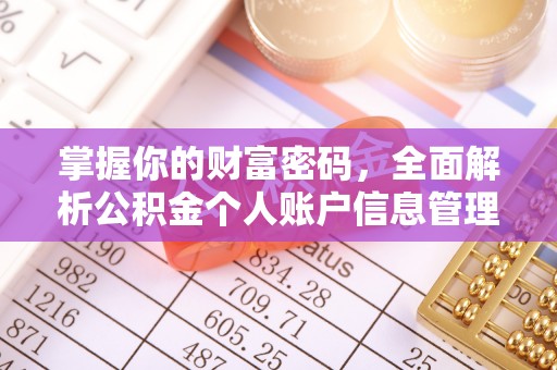 博罗掌握你的财富密码，全面解析公积金个人账户信息管理