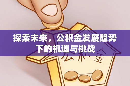 博罗探索未来，公积金发展趋势下的机遇与挑战