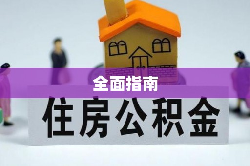 博罗全面指南