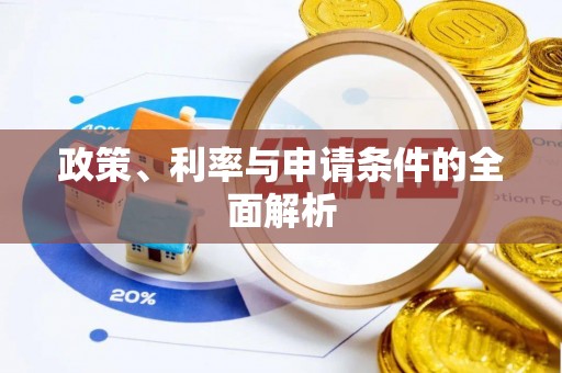博罗政策、利率与申请条件的全面解析