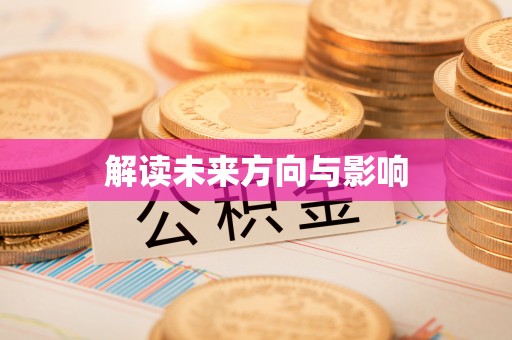 博罗解读未来方向与影响