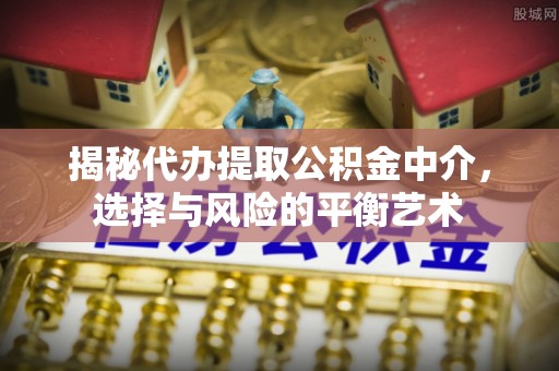 博罗揭秘代办提取公积金中介，选择与风险的平衡艺术