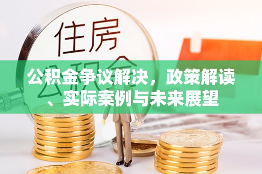 博罗公积金争议解决，政策解读、实际案例与未来展望
