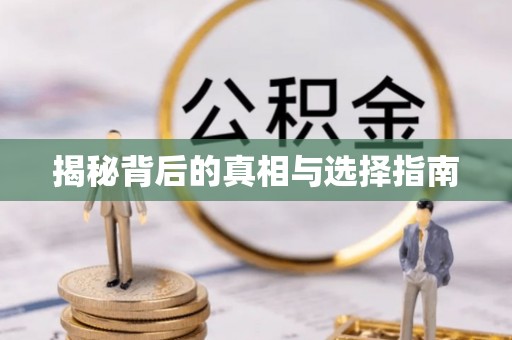 博罗揭秘背后的真相与选择指南