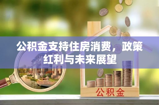 博罗公积金支持住房消费，政策红利与未来展望