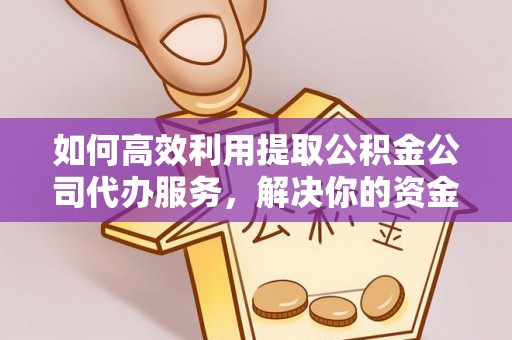 博罗如何高效利用提取公积金公司代办服务，解决你的资金难题