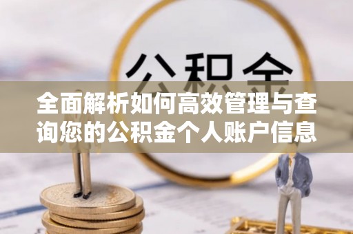 博罗全面解析如何高效管理与查询您的公积金个人账户信息