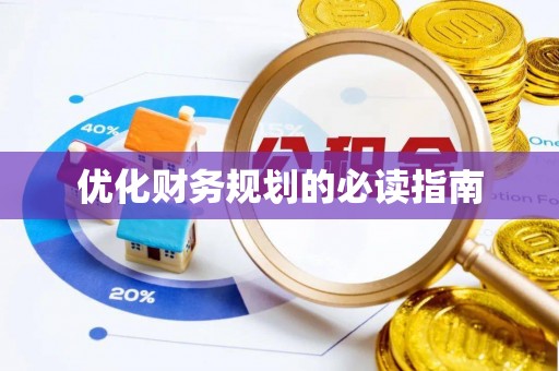 博罗优化财务规划的必读指南