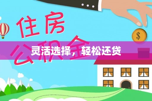 博罗灵活选择，轻松还贷