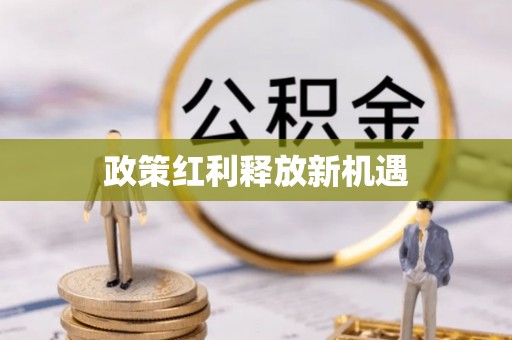 博罗政策红利释放新机遇