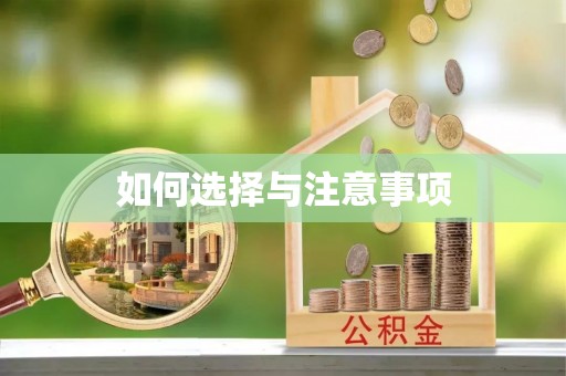 博罗如何选择与注意事项