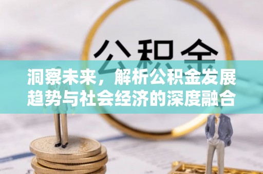 博罗洞察未来，解析公积金发展趋势与社会经济的深度融合