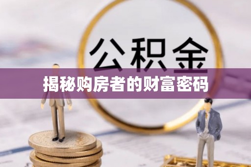 博罗揭秘购房者的财富密码