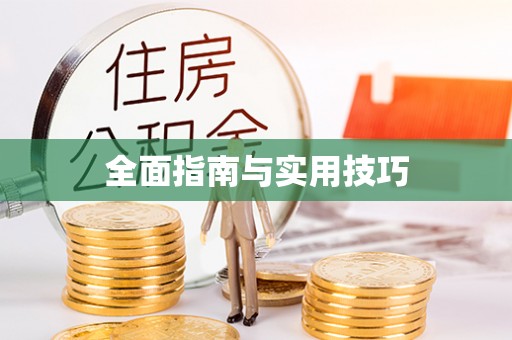 博罗全面指南与实用技巧