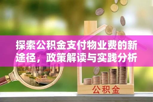 博罗探索公积金支付物业费的新途径，政策解读与实践分析