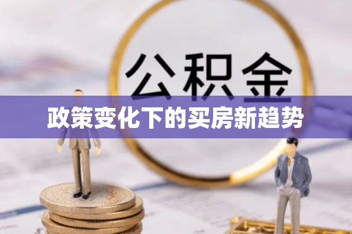 博罗政策变化下的买房新趋势