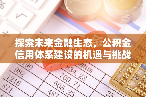 博罗探索未来金融生态，公积金信用体系建设的机遇与挑战