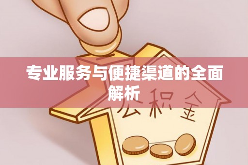 博罗专业服务与便捷渠道的全面解析