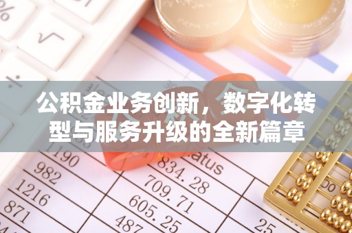 博罗公积金业务创新，数字化转型与服务升级的全新篇章