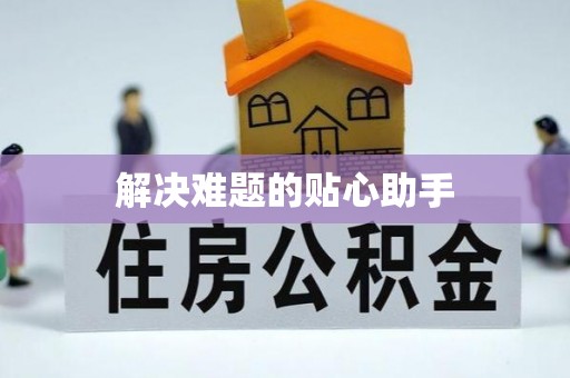 博罗解决难题的贴心助手
