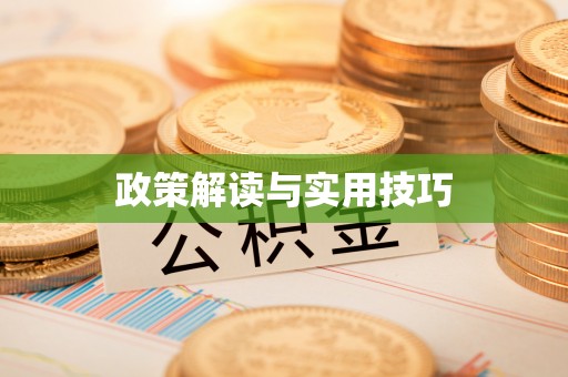 博罗政策解读与实用技巧