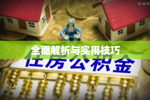 博罗全面解析与实用技巧