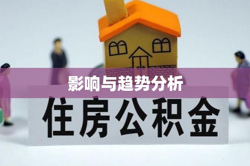 博罗影响与趋势分析