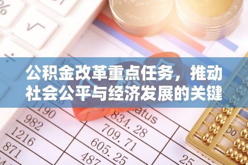 博罗公积金改革重点任务，推动社会公平与经济发展的关键一步