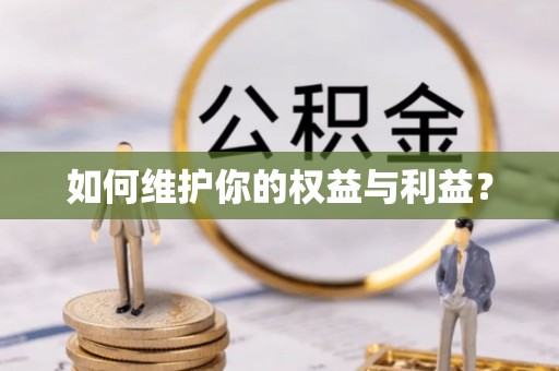 博罗如何维护你的权益与利益？
