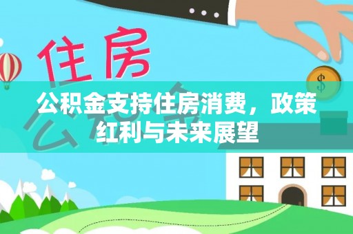 博罗公积金支持住房消费，政策红利与未来展望