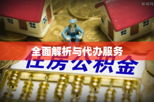 博罗全面解析与代办服务