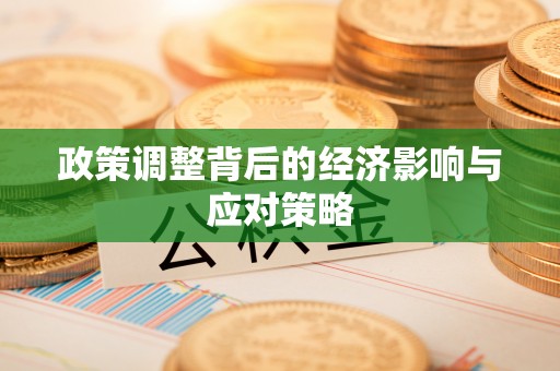 博罗政策调整背后的经济影响与应对策略