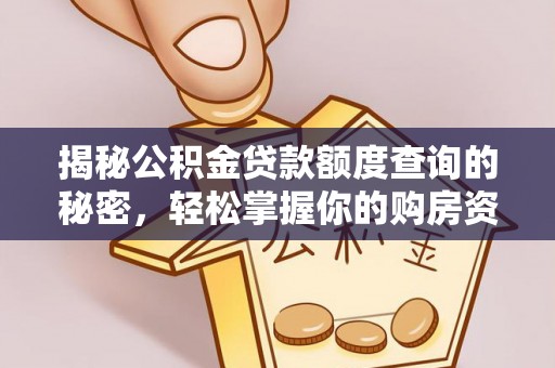 博罗揭秘公积金贷款额度查询的秘密，轻松掌握你的购房资金