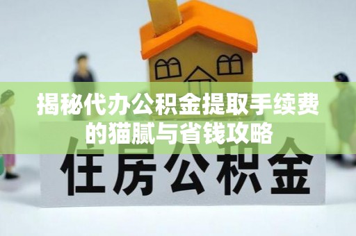 博罗揭秘代办公积金提取手续费的猫腻与省钱攻略