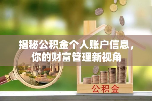 博罗揭秘公积金个人账户信息，你的财富管理新视角