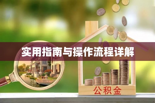 博罗实用指南与操作流程详解