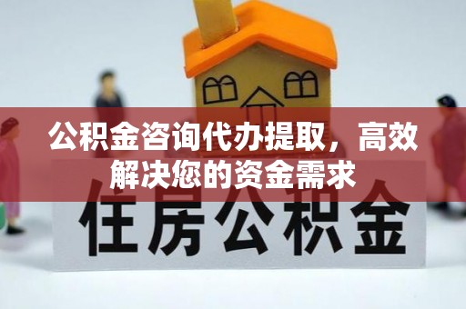 博罗公积金咨询代办提取，高效解决您的资金需求