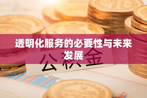 博罗透明化服务的必要性与未来发展