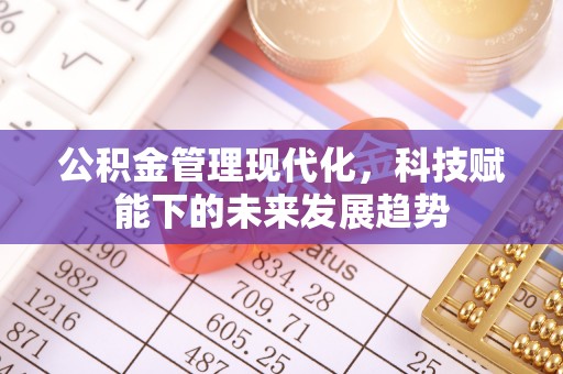 博罗公积金管理现代化，科技赋能下的未来发展趋势