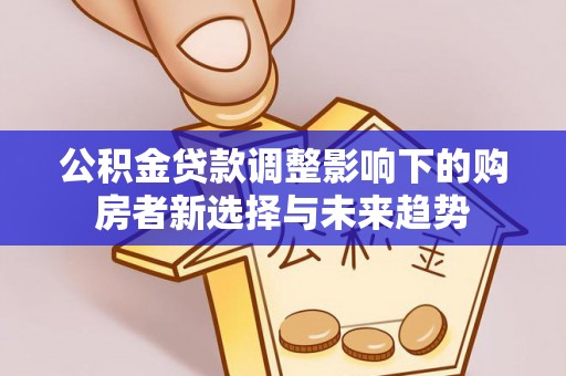 博罗公积金贷款调整影响下的购房者新选择与未来趋势