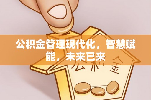 博罗公积金管理现代化，智慧赋能，未来已来