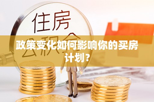 博罗政策变化如何影响你的买房计划？