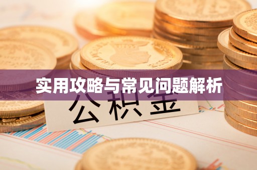 博罗实用攻略与常见问题解析