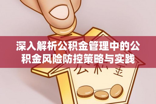 博罗深入解析公积金管理中的公积金风险防控策略与实践