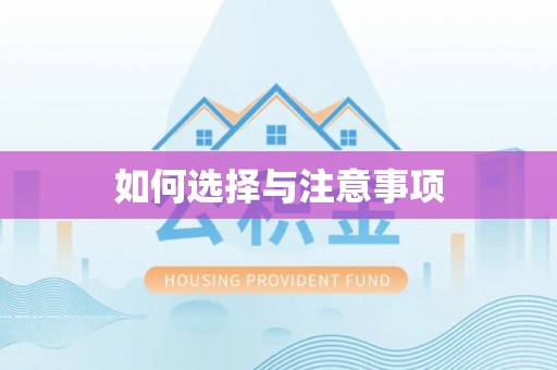 博罗如何选择与注意事项